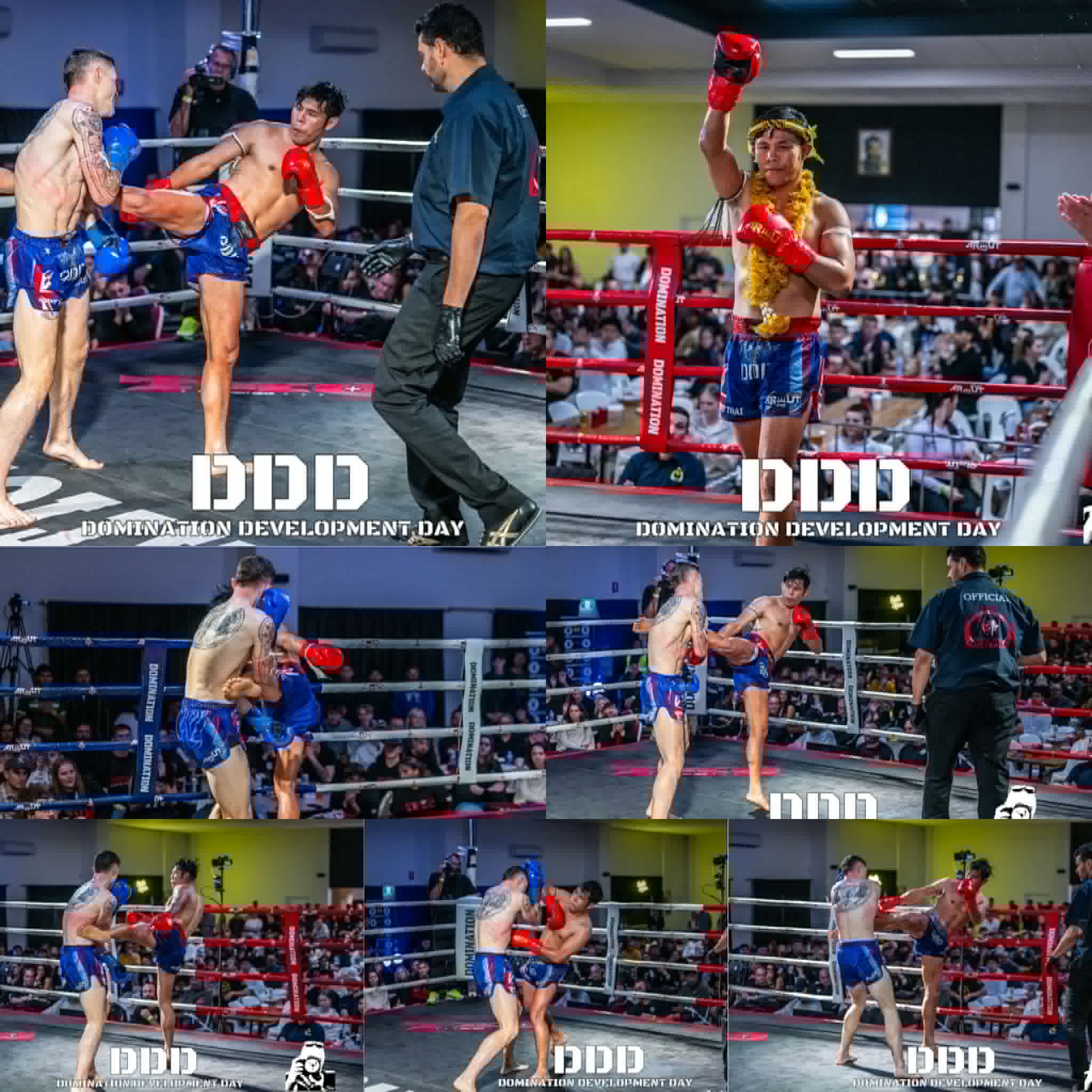 Kao Sok gallery 53